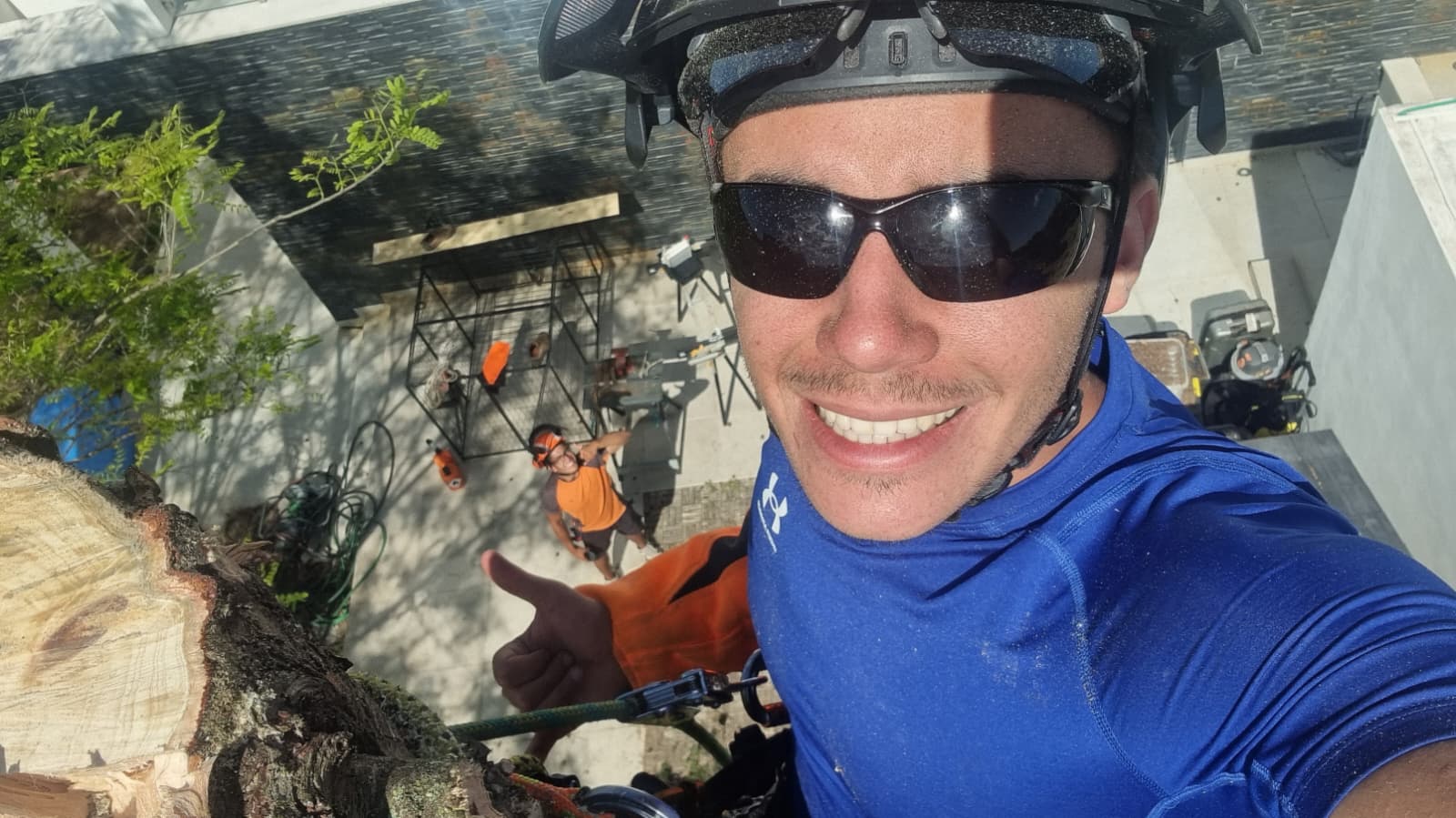 Arborista a trabalhar em segurança em altura numa árvore